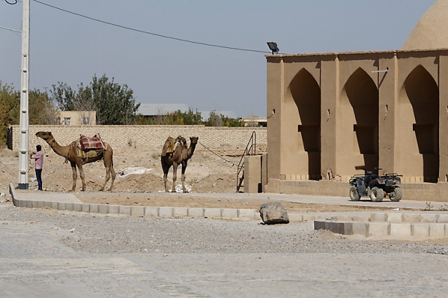 Mehriz-Caravanserail et fort de Saryazd-022